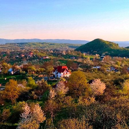 Bed and Breakfast Casa Comilor Surdesti  Екстер'єр фото