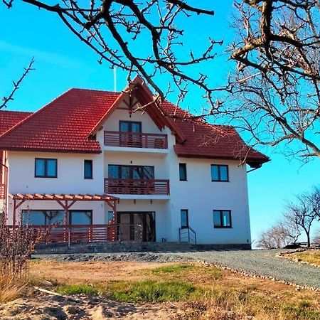 Bed and Breakfast Casa Comilor Surdesti  Екстер'єр фото