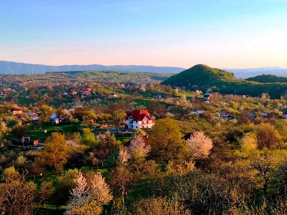 Bed and Breakfast Casa Comilor Surdesti  Екстер'єр фото