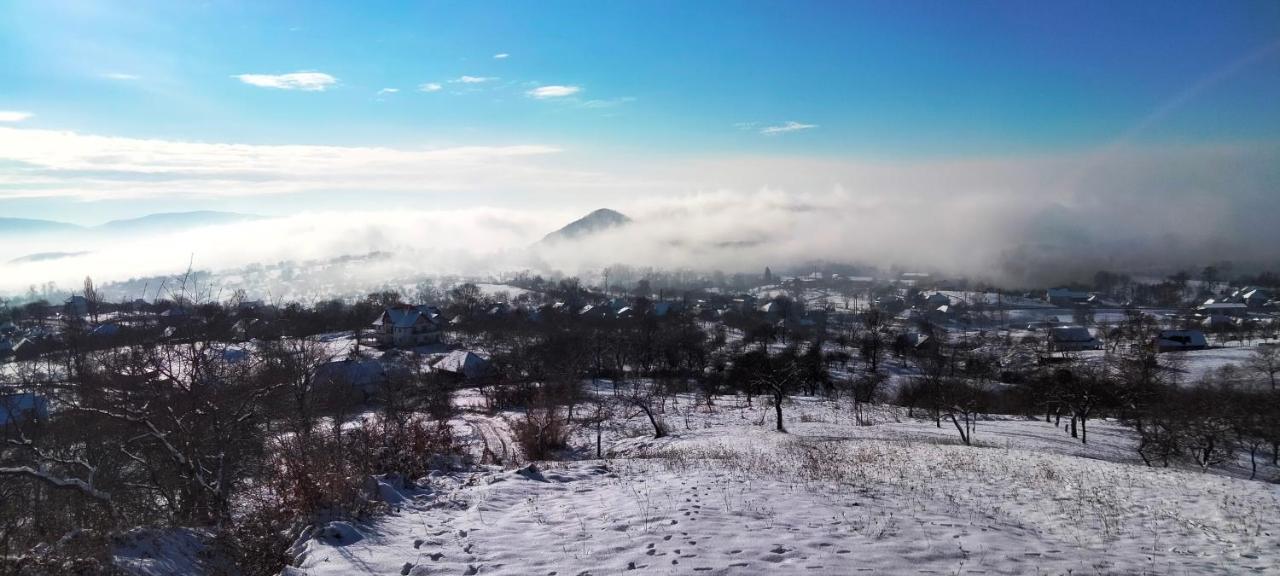 Bed and Breakfast Casa Comilor Surdesti  Екстер'єр фото