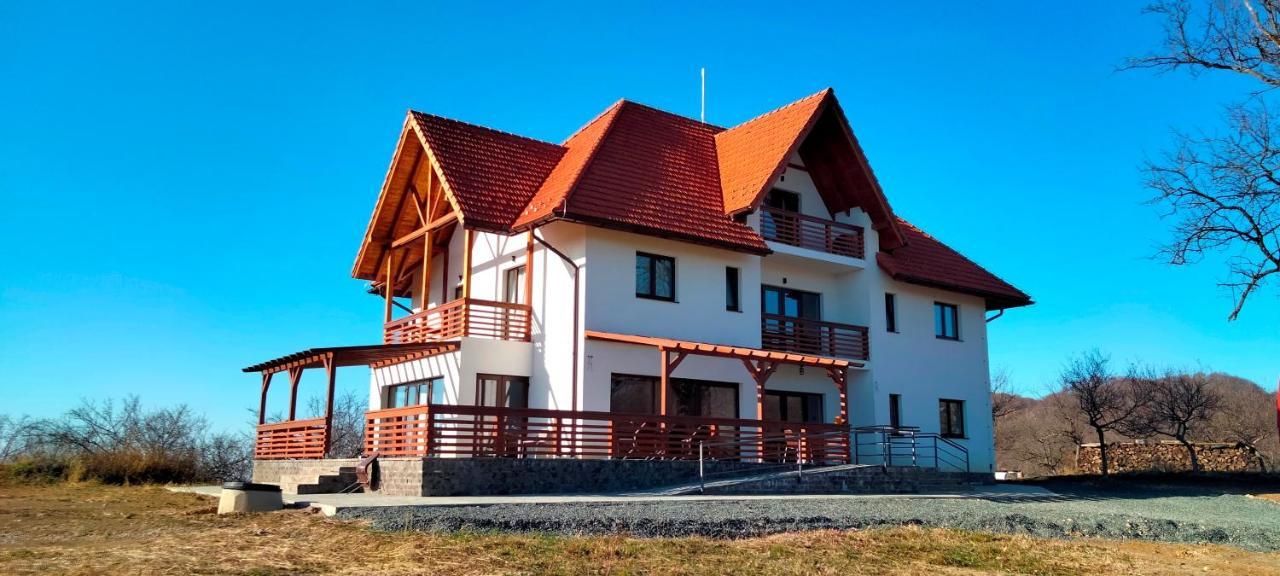 Bed and Breakfast Casa Comilor Surdesti  Екстер'єр фото