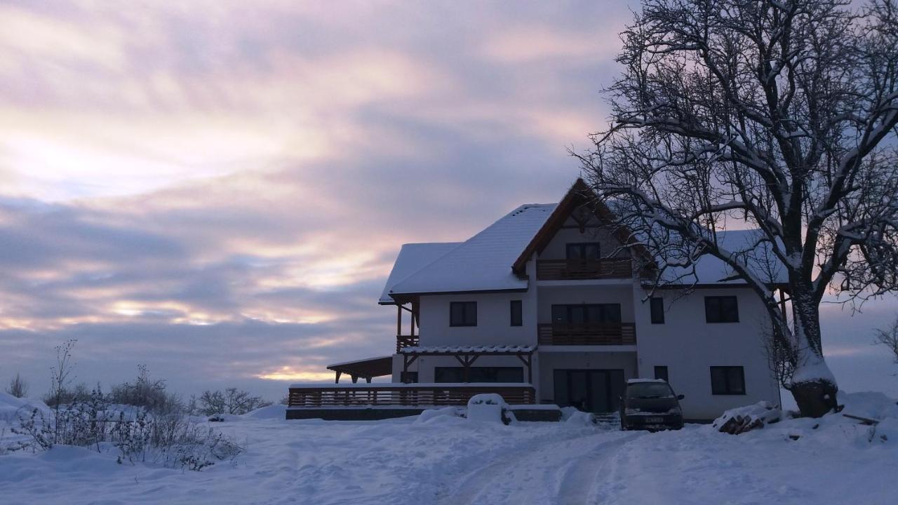 Bed and Breakfast Casa Comilor Surdesti  Екстер'єр фото