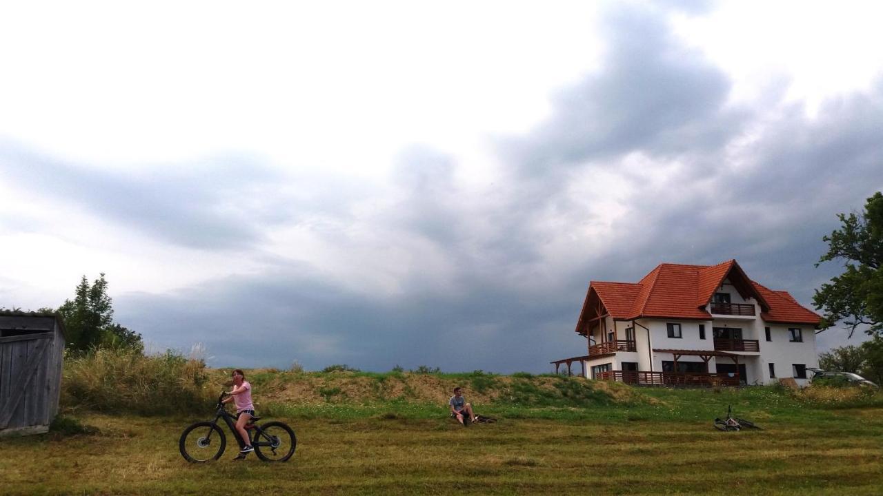 Bed and Breakfast Casa Comilor Surdesti  Екстер'єр фото