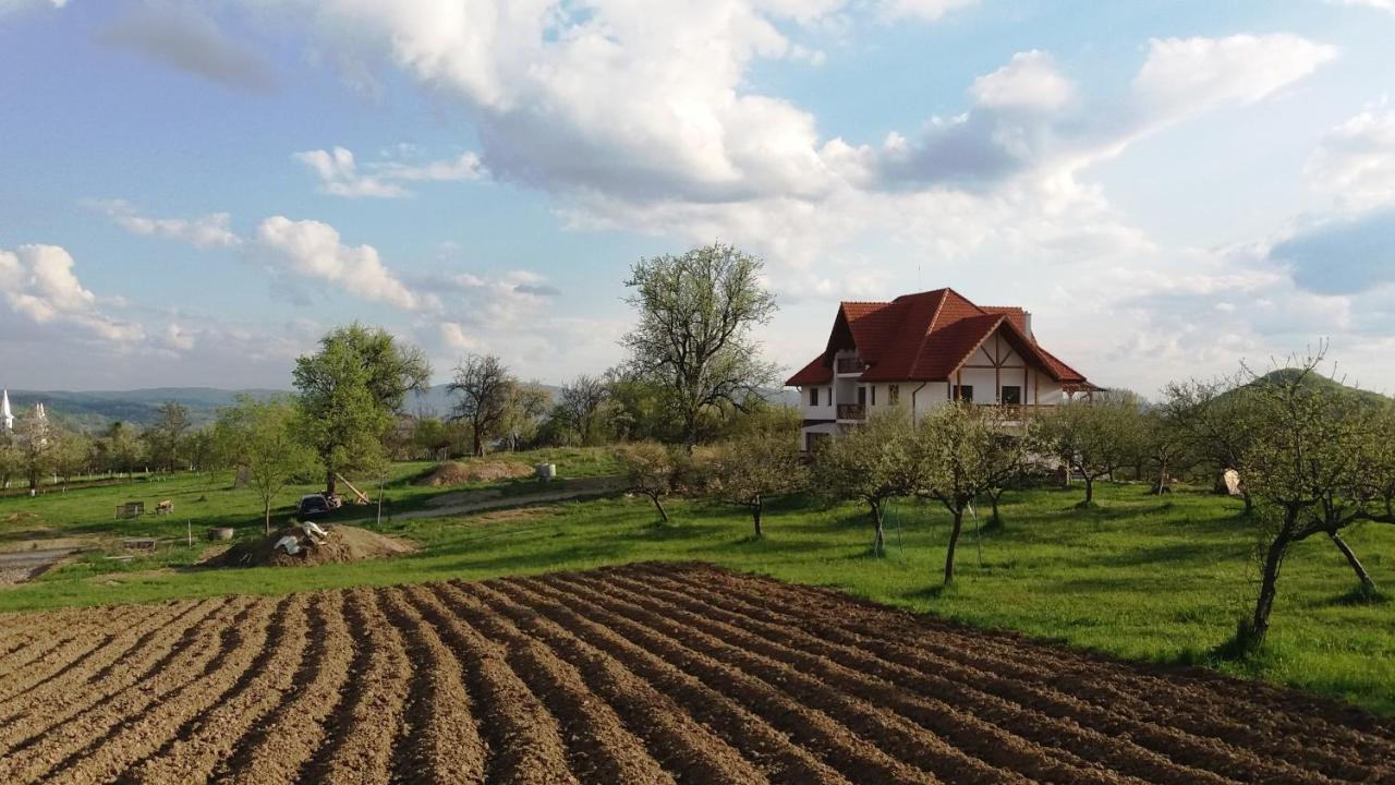 Bed and Breakfast Casa Comilor Surdesti  Екстер'єр фото