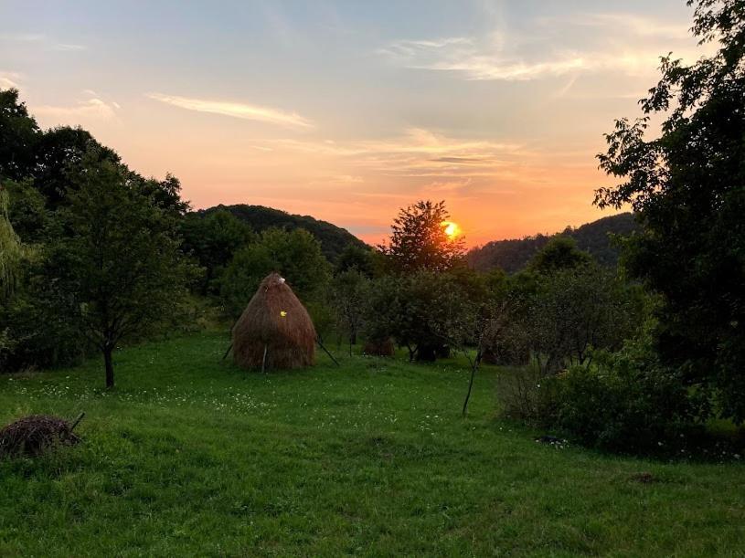 Bed and Breakfast Casa Comilor Surdesti  Екстер'єр фото